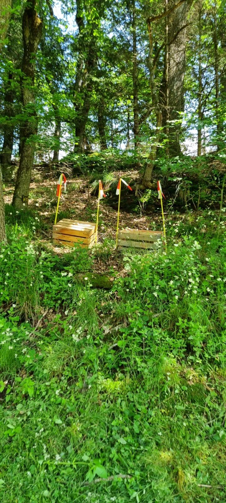 Rettungsbox im Wald